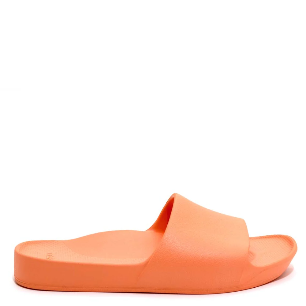 Archies Arch Support Slides 