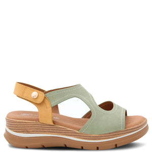 Bay Lane Fern Women's Sandal Olive