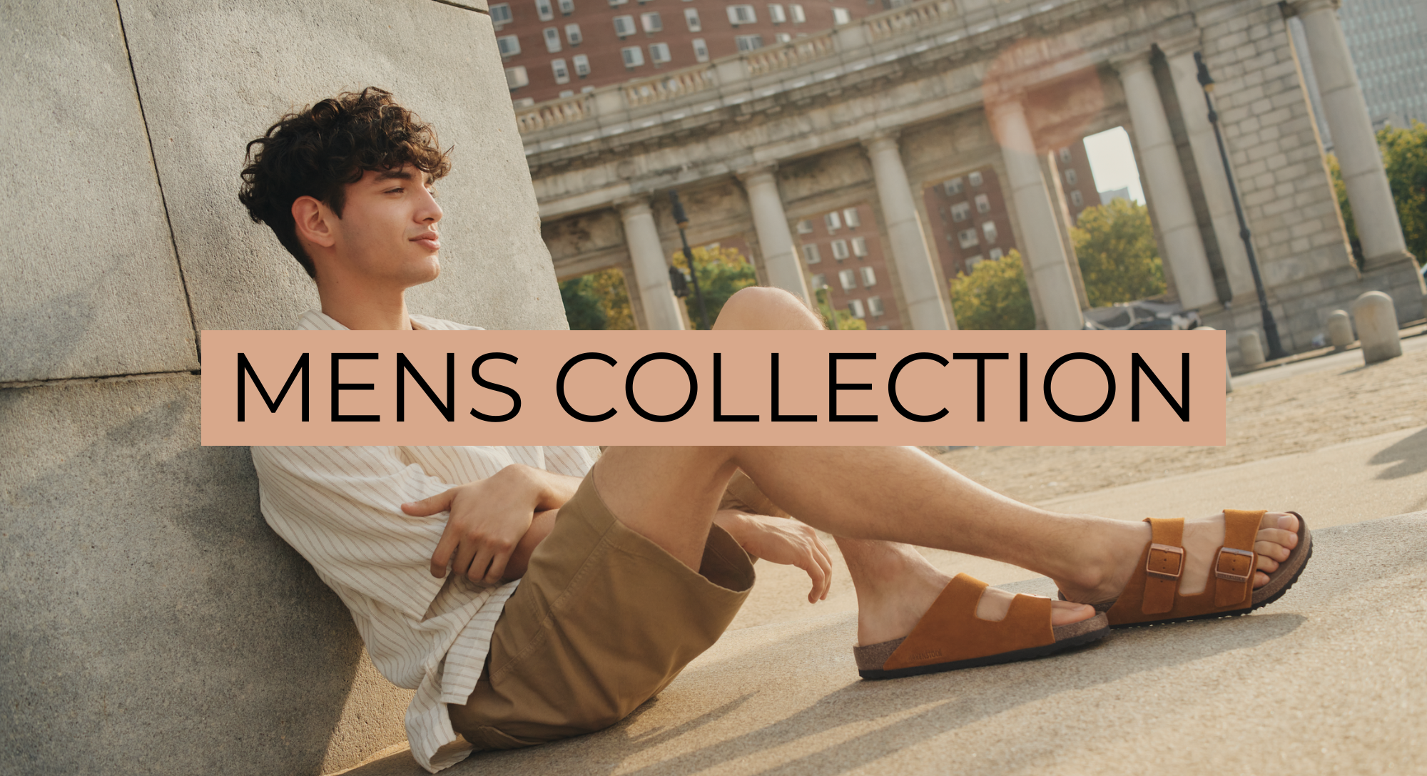 Collection Banner