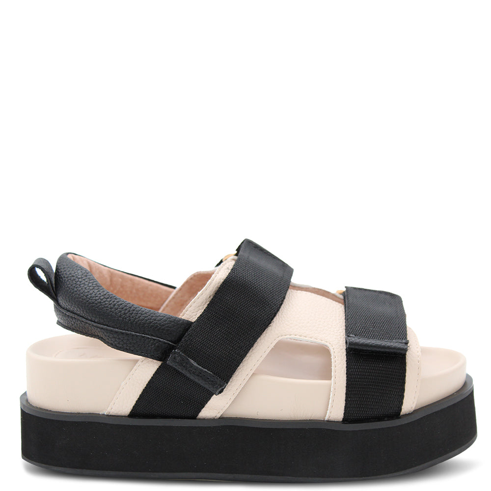 Walnut Willa Women's Sandals Black